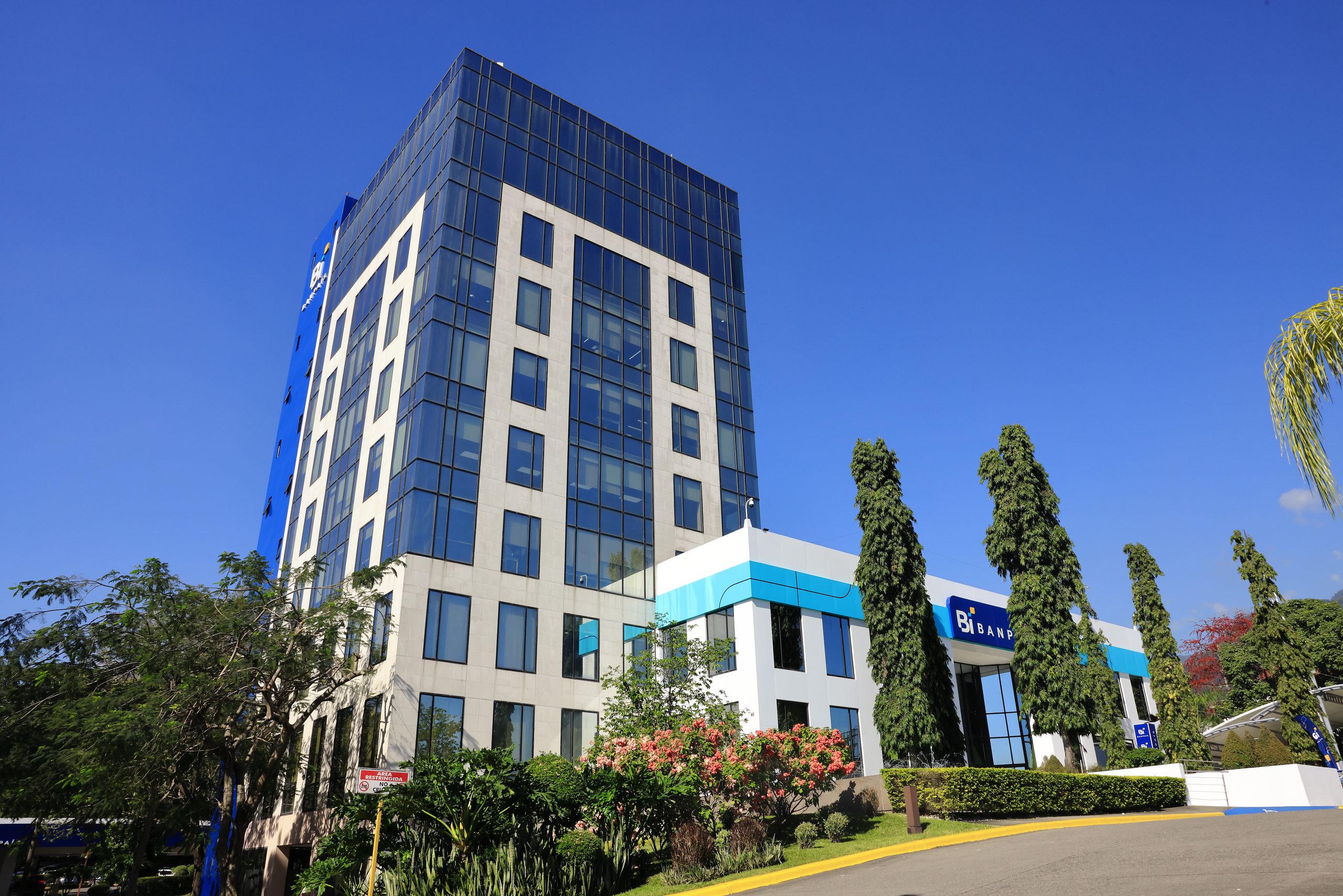 Fachada de la torre corporativa de Banpaís en contrapicado, San Pedro Sula