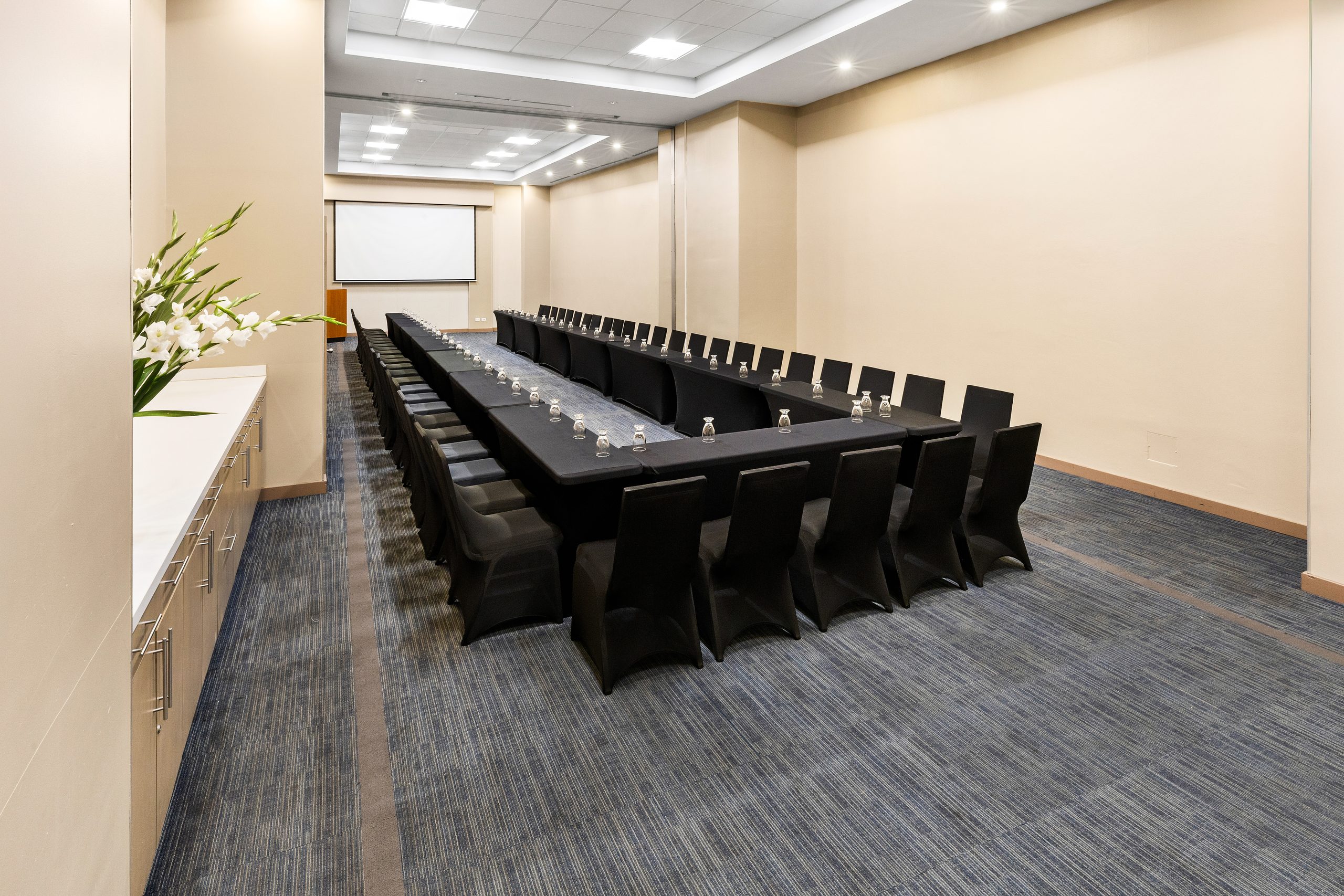 Sala de juntas del Hyatt Place Tegucigalpa con mesa larga para reuniones corporativas